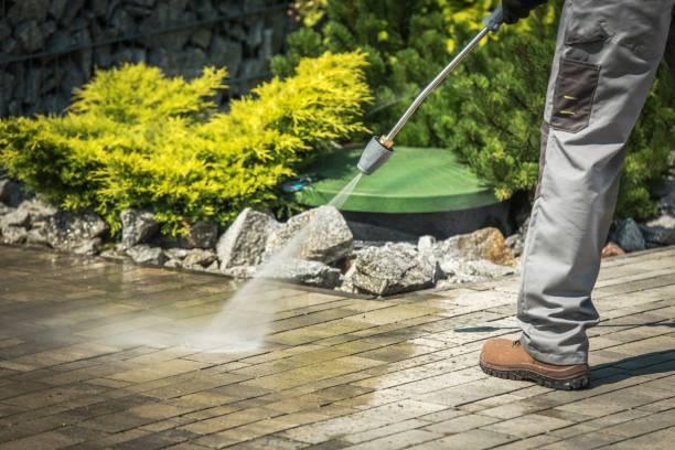 Best Boat and Dock Cleaning  in Prescott, AR