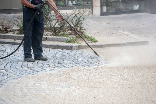 Best Pre-Holiday Cleaning  in Prescott, AR